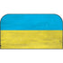 Ukraine Flag Distressed Nintendo Switch 2 (2025) with Joy-Con Skin